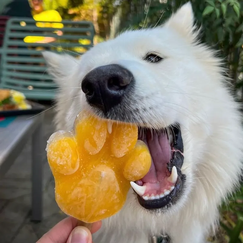 Helado para perrito