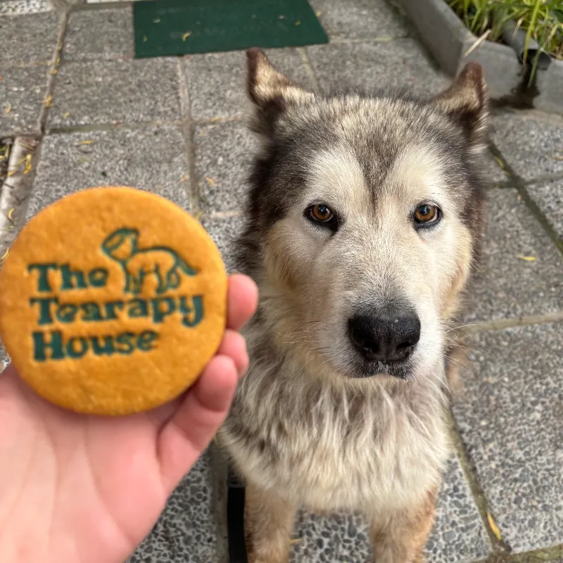 Galleta para perrito